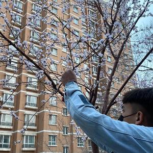 裸体 惩罚 拍击 打屁股视频
